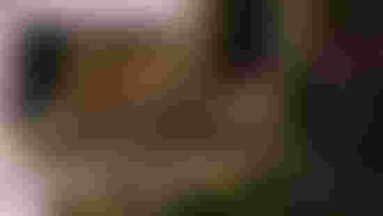 hala.jpeg